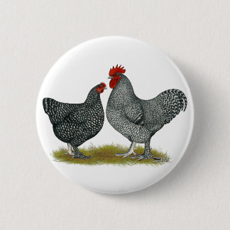 Maline Chickens Pinback Button