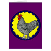 Maline Rooster (Front)