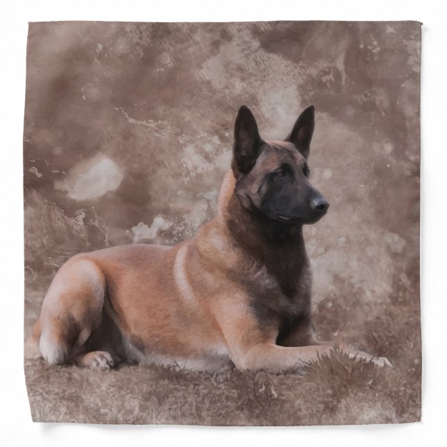 Malinois  Belgian shepherd - Mechelaar Bandana (Front)