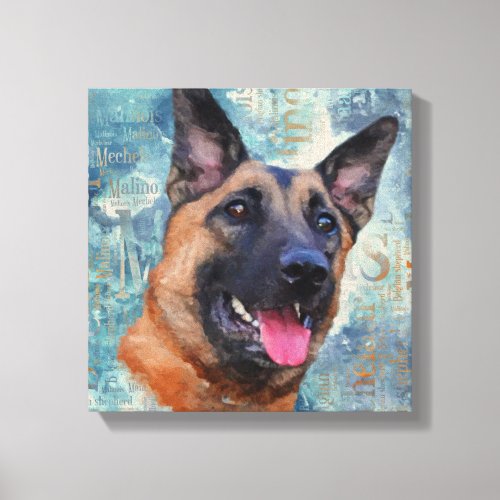 Malinois  _ Belgian shepherd _ Mechelaar Canvas Print