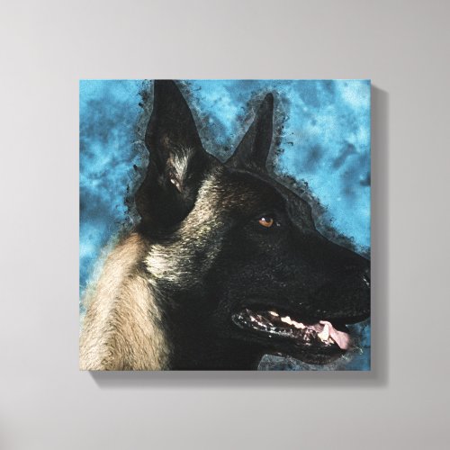 Malinois  Belgian shepherd _ Mechelaar Canvas Print