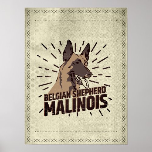 Malinois _ Belgian shepherd _Mechelaar _Maligator Poster