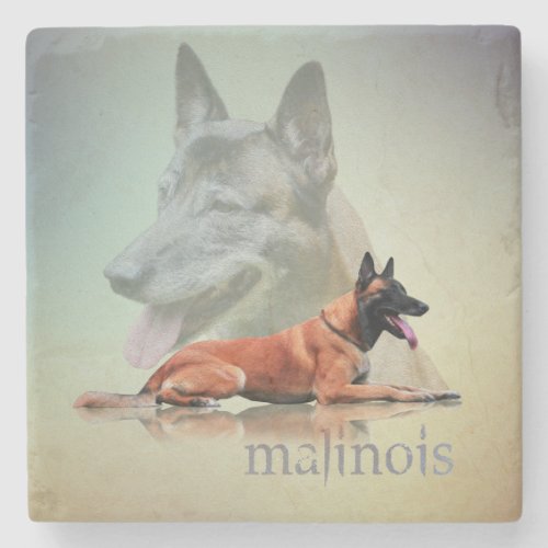 Malinois _ Belgian shepherd _Mechelaar _Maligator Stone Coaster