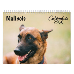Malinois calendar 2026