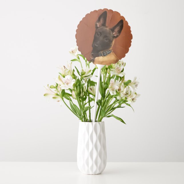 Malinois Dog Balloon (Vase)