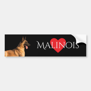 Malinois Dog Bumper Sticker