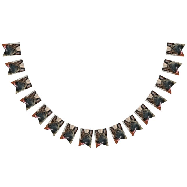 Malinois Dog Bunting Flags (All)