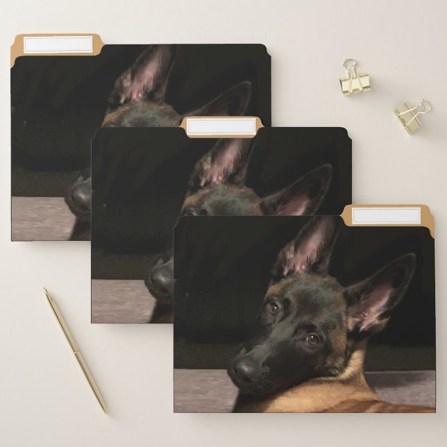 Malinois Dog File Folder (Set)