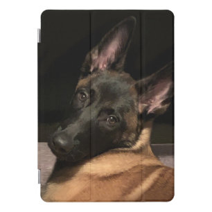 Malinois Dog iPad Pro Cover