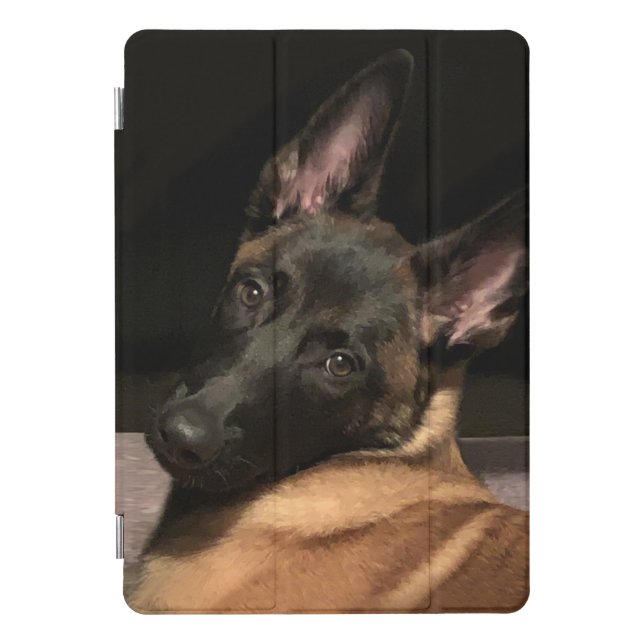 Malinois Dog iPad Pro Cover (Front)