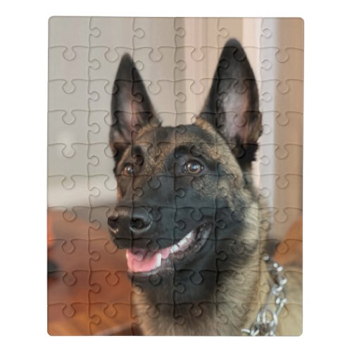 Malinois Dog Jigsaw Puzzle