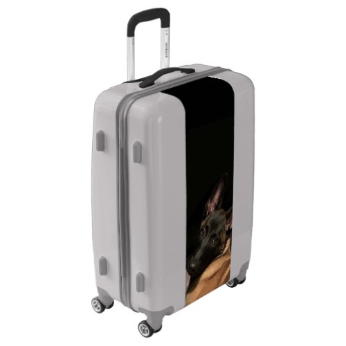 Malinois Dog Luggage
