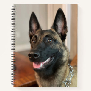 Malinois Dog Notebook