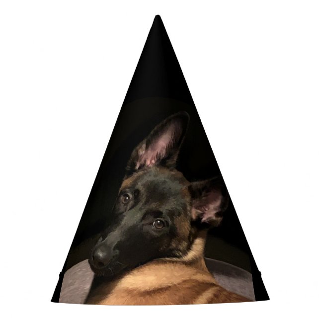 Malinois Dog Party Hat (Front)