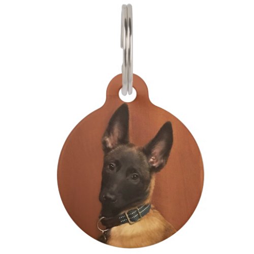 Malinois Dog Pet ID Tag