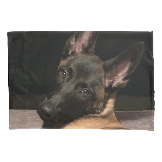 Malinois Dog Pillow Case (Front)