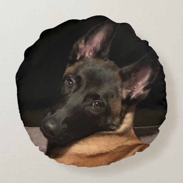 Malinois Dog Round Pillow (Back)