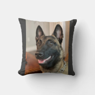 Malinois Dog Throw Pillow