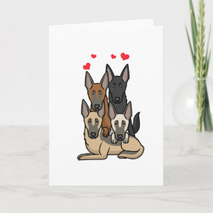 Malinois Dogs Card