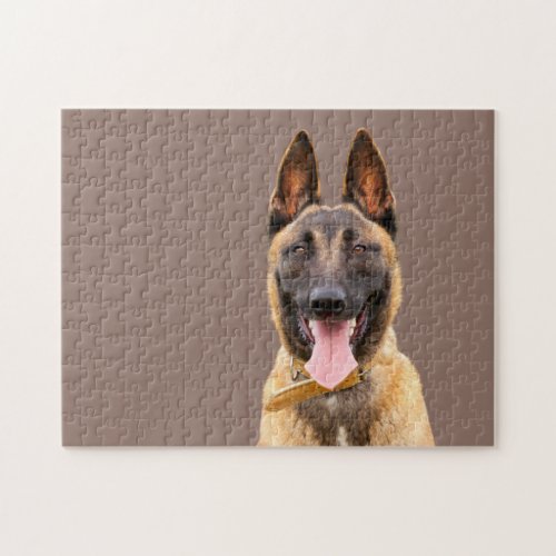 Malinois Jigsaw Puzzle