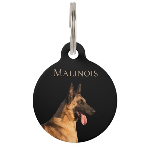 Malinois Pet ID Tag