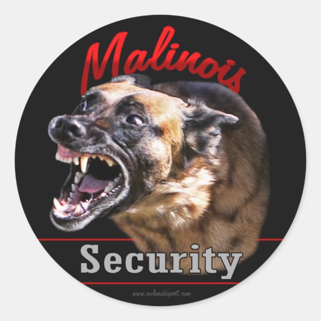 Malinois Security Classic Round Sticker (Front)