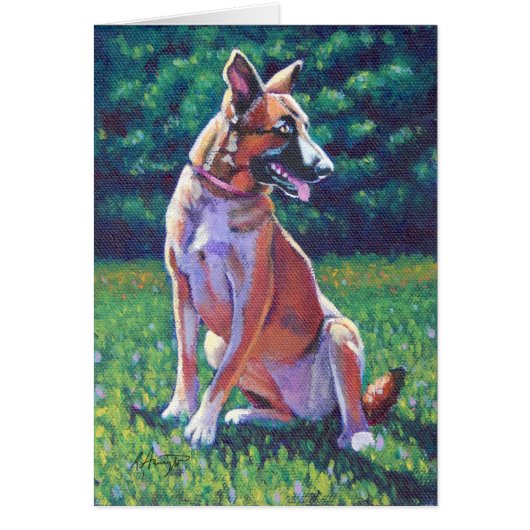 Malinois Shepherd in Grassy Field Cards (Front)