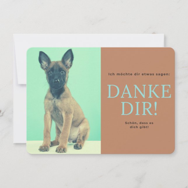malinois thank you card (Front)