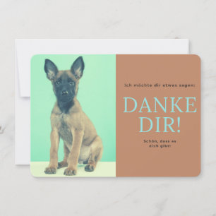 malinois   thank you card