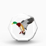 Mallard Acrylic Award<br><div class="desc">"Colorful mallard ducks are a masterpiece of nature. We love them on throw pillows or all kinds of apparel. "</div>