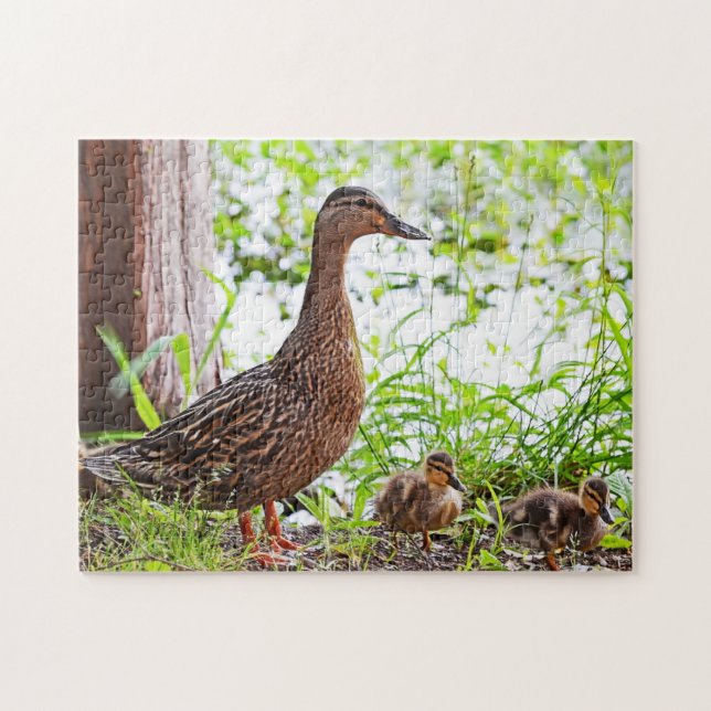 Mallard and Ducklings by Shirley Taylor Jigsaw Puzzle (Horizontal)