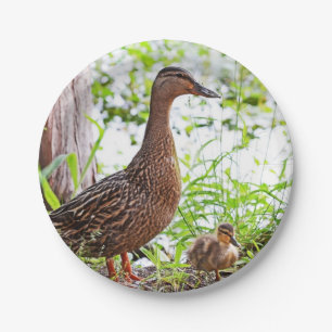 Mallard and Ducklings by Shirley Taylor Paper Plates