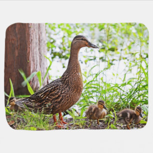 Mallard and Ducklings by Shirley Taylor Receiving Blanket