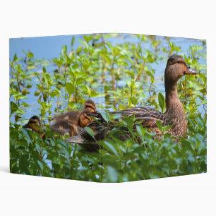 Mallard and Ducklings-Swimming by Shirley Taylor Binder
