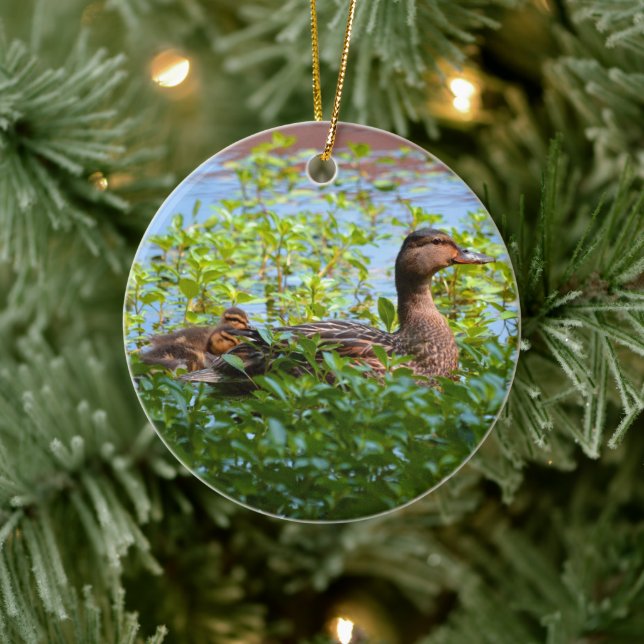 Mallard and Ducklings-Swimming by Shirley Taylor Ceramic Ornament (Tree)