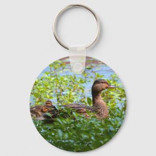Mallard and Ducklings-Swimming by Shirley Taylor Keychain