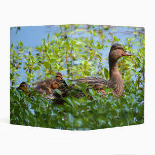 Mallard and Ducklings-Swimming by Shirley Taylor Mini Binder