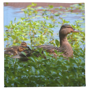 Mallard and Ducklings-Swimming by Shirley Taylor Napkin