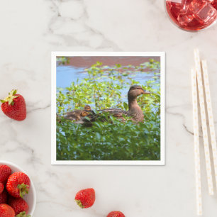 Mallard and Ducklings-Swimming by Shirley Taylor Paper Napkins