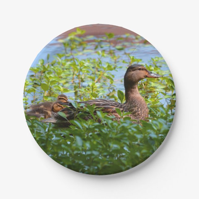 Mallard and Ducklings-Swimming by Shirley Taylor Paper Plates (Front)