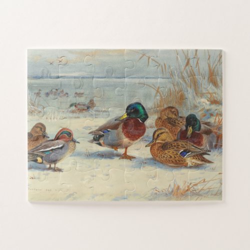 Mallard and teal in the snow Birds Jigsaw Puzzle