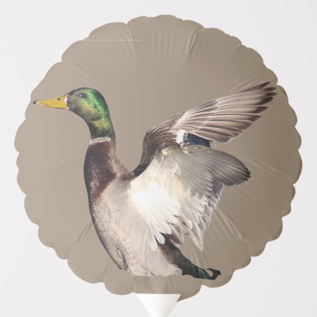 Mallard Balllon Balloon (Front)