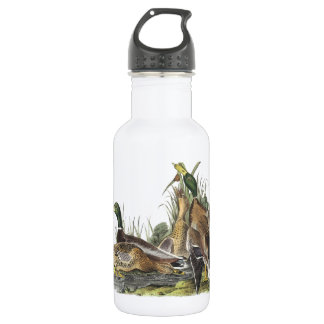Mallard by Audubon Stainless Steel Water Bottle