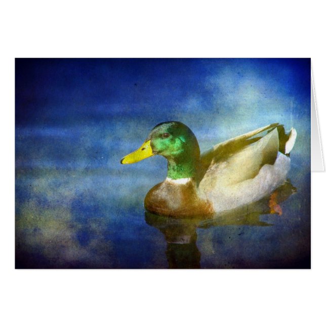 Mallard Cards (Front Horizontal)