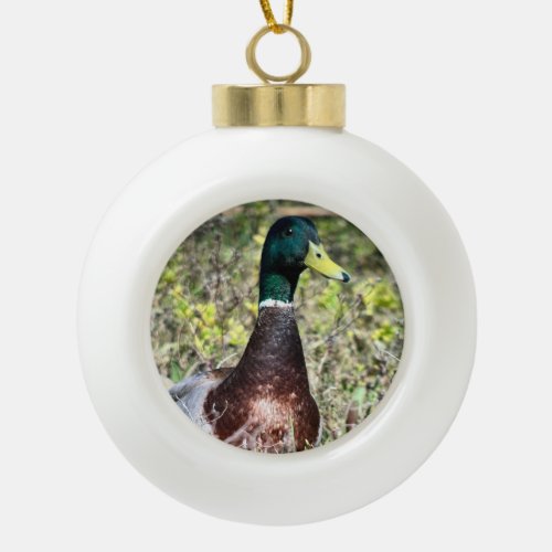 Mallard Ceramic Ball Christmas Ornament