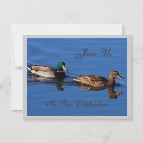 Mallard Couple Invitation