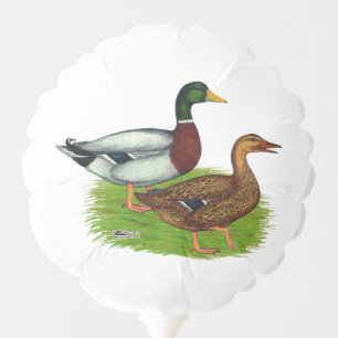 Mallard Drake and Duck Balloon