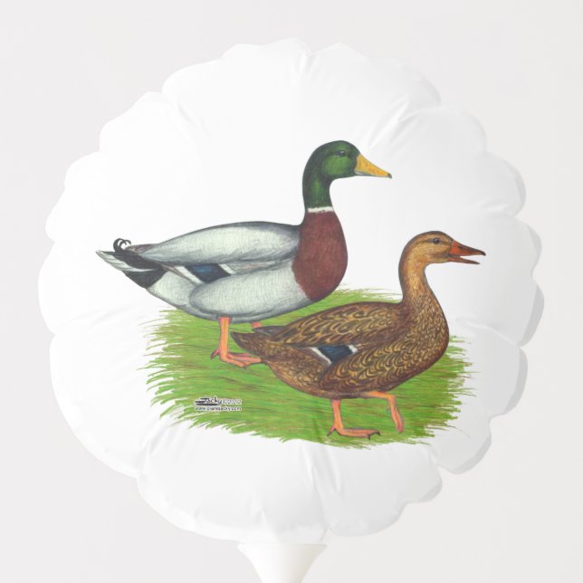 Mallard Drake and Duck Balloon (Back)