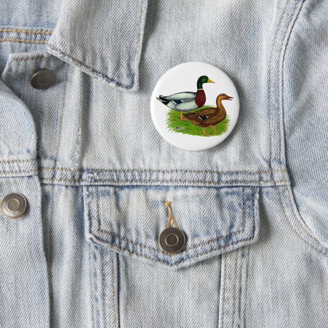 Mallard Drake and Duck Button (In Situ)