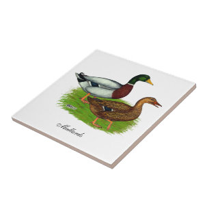Mallard Drake and Duck Ceramic Tile